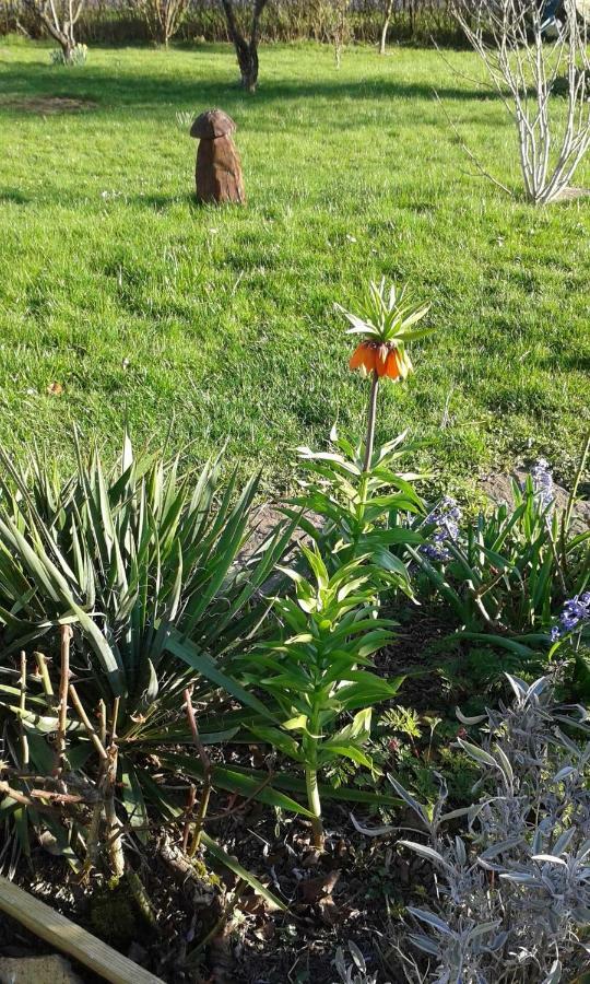 PutgartenHaus Ebel公寓 外观 照片